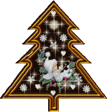 COUPE DE NOEL   RESULTATS