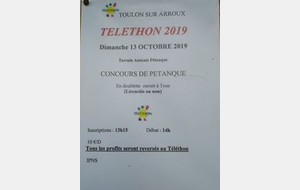 Concours en doublettes à Toulon Sur Arroux