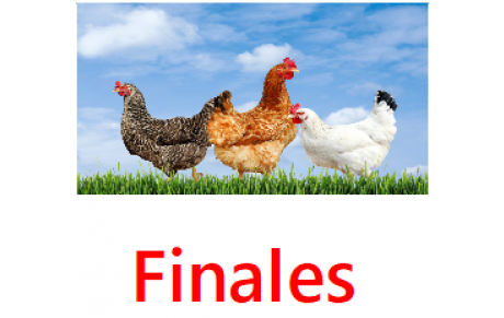Poules finales CDC.