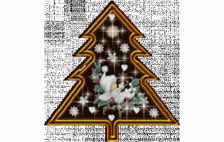 COUPE DE NOEL   RESULTATS